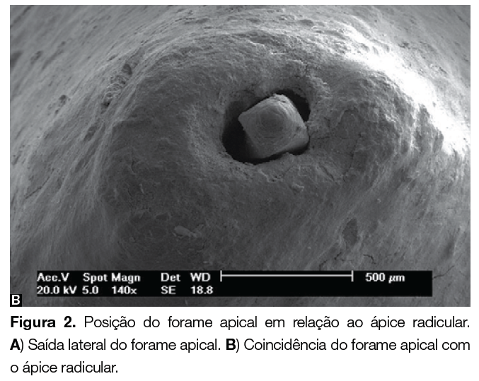 Captura de Tela 2015-09-22 às 10.25.49