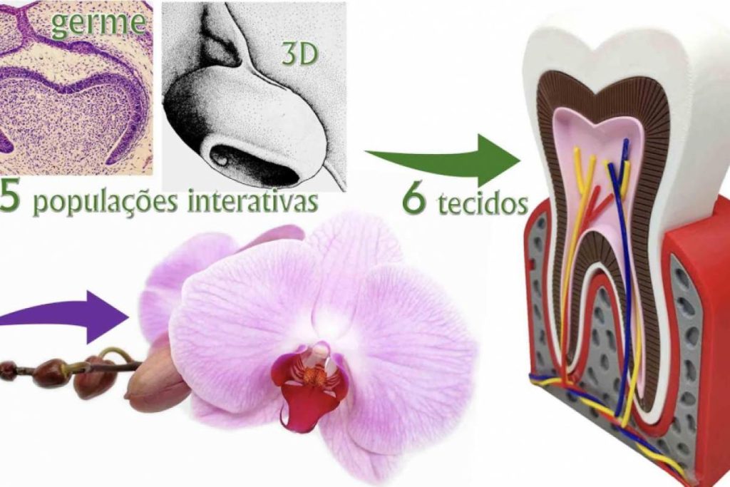 “A maior picaretagem do ano”