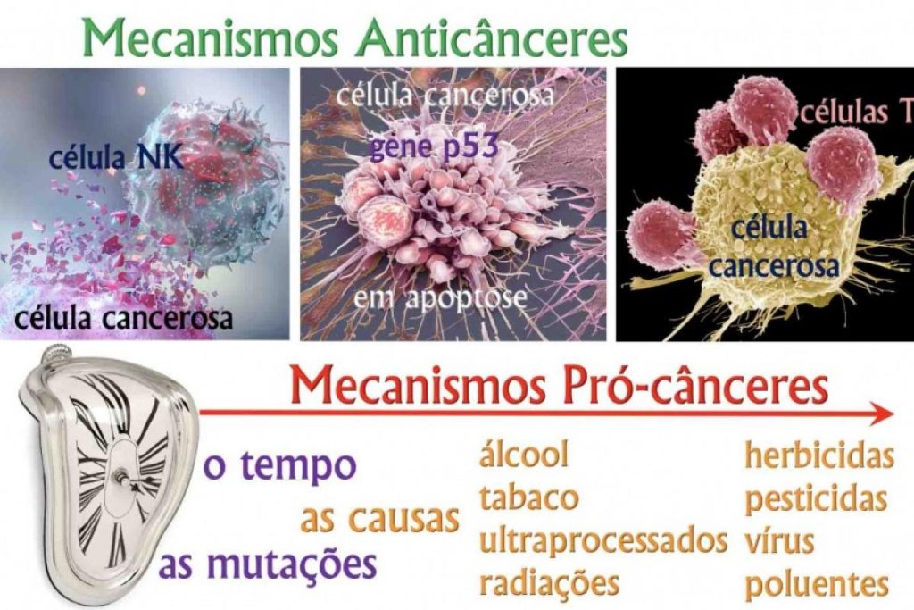 Por que temos câncer: os fatos